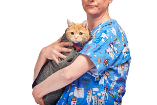 Cat with vet nurse, Oliver in Wrapsio