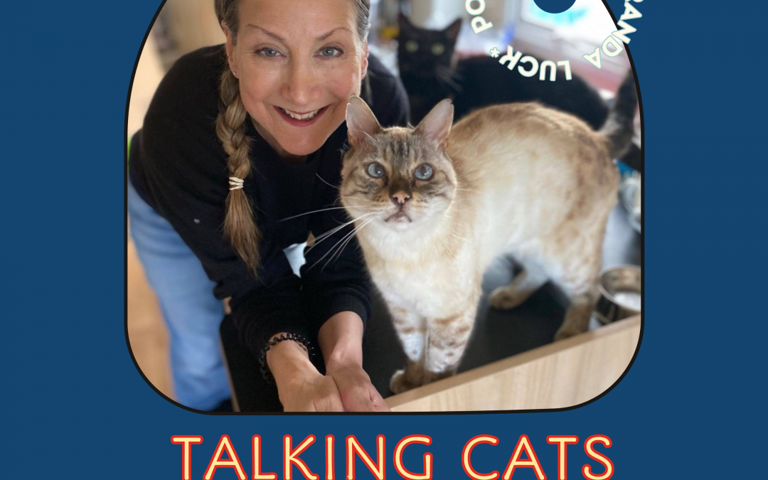 Talking Cats Podcast